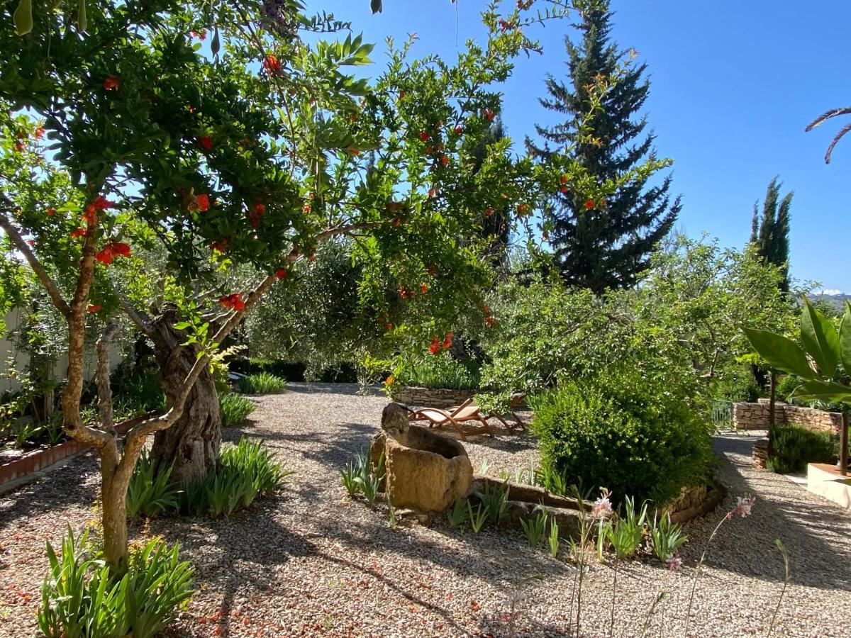 Beautiful Country House Near Ronda アリアテ エクステリア 写真
