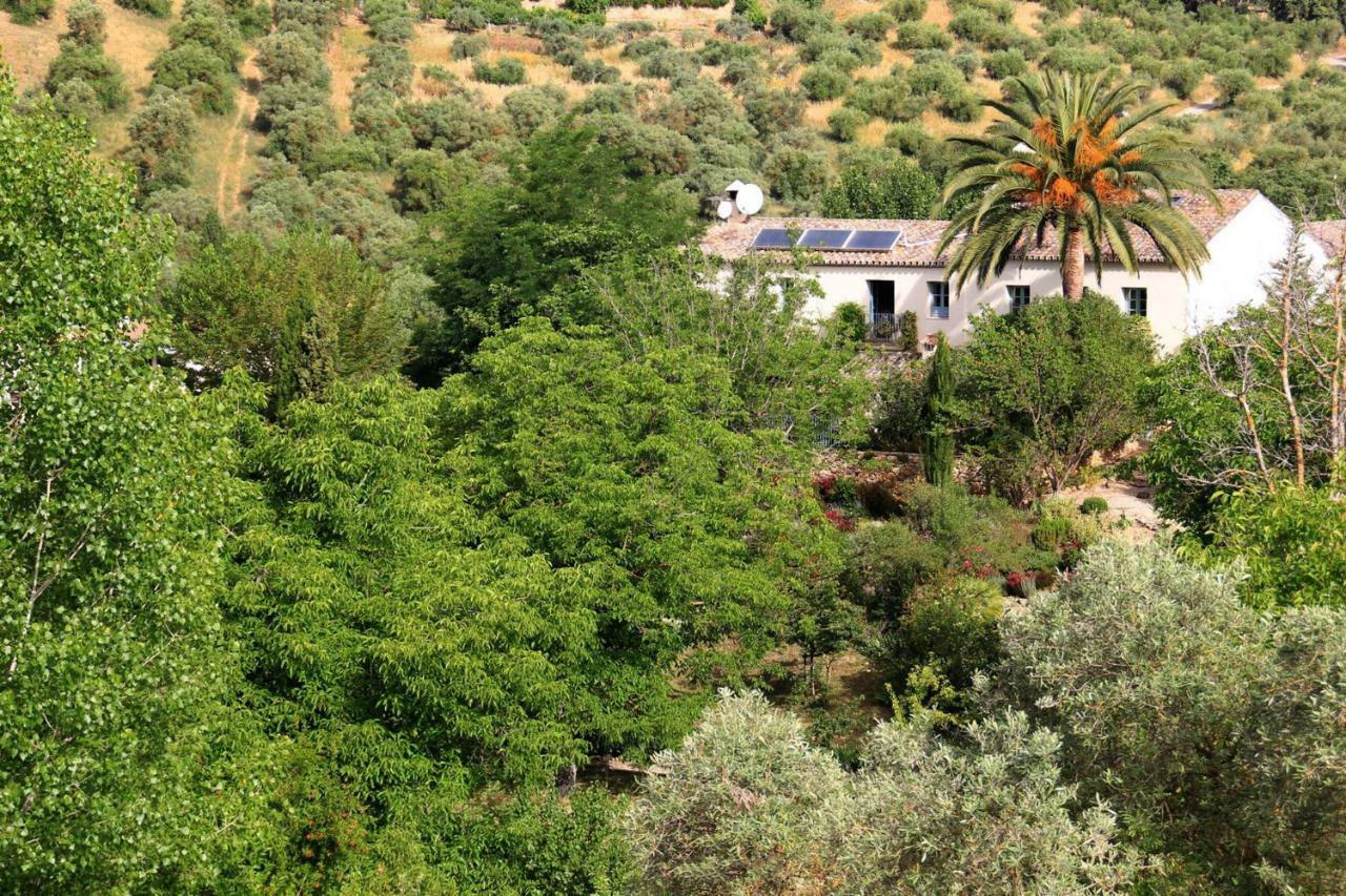 Beautiful Country House Near Ronda アリアテ エクステリア 写真